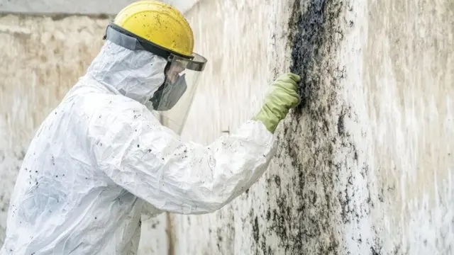 Worker in a protective suit and face shield inspecting black mold on a wall