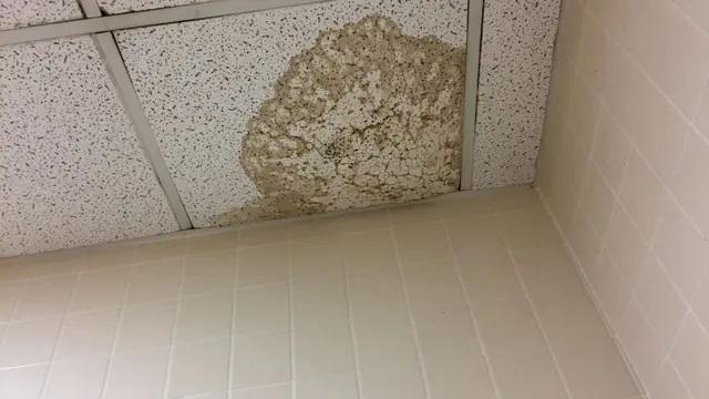 Brown water stain on an acoustic ceiling tile above a tiled room