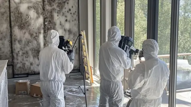 Three technicians in protective suits assessing a mold-covered room with equipment