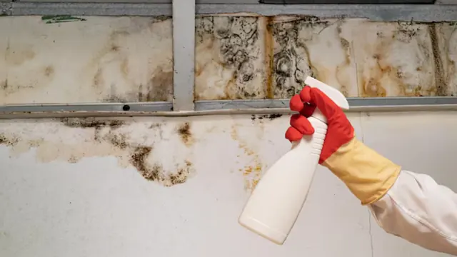 Gloved hand holding a spray bottle beside mold stains on a wall