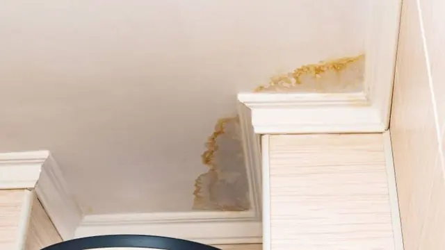 Small yellow-brown water stains on a ceiling corner near molding